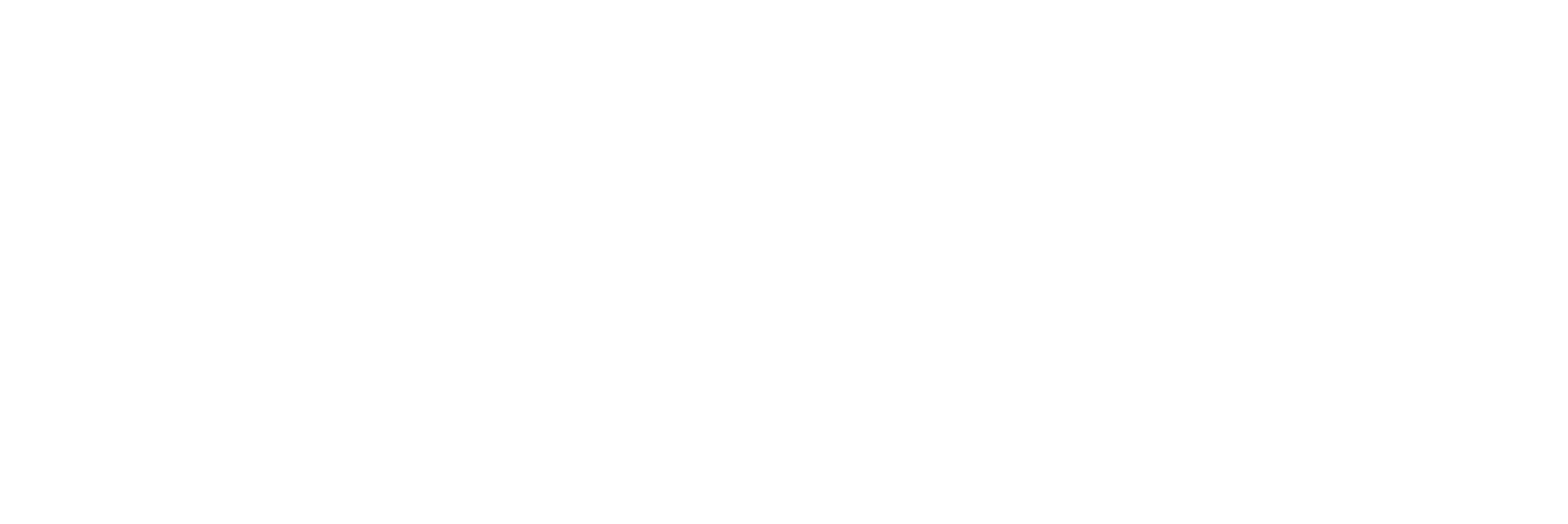 avl-spl-logo