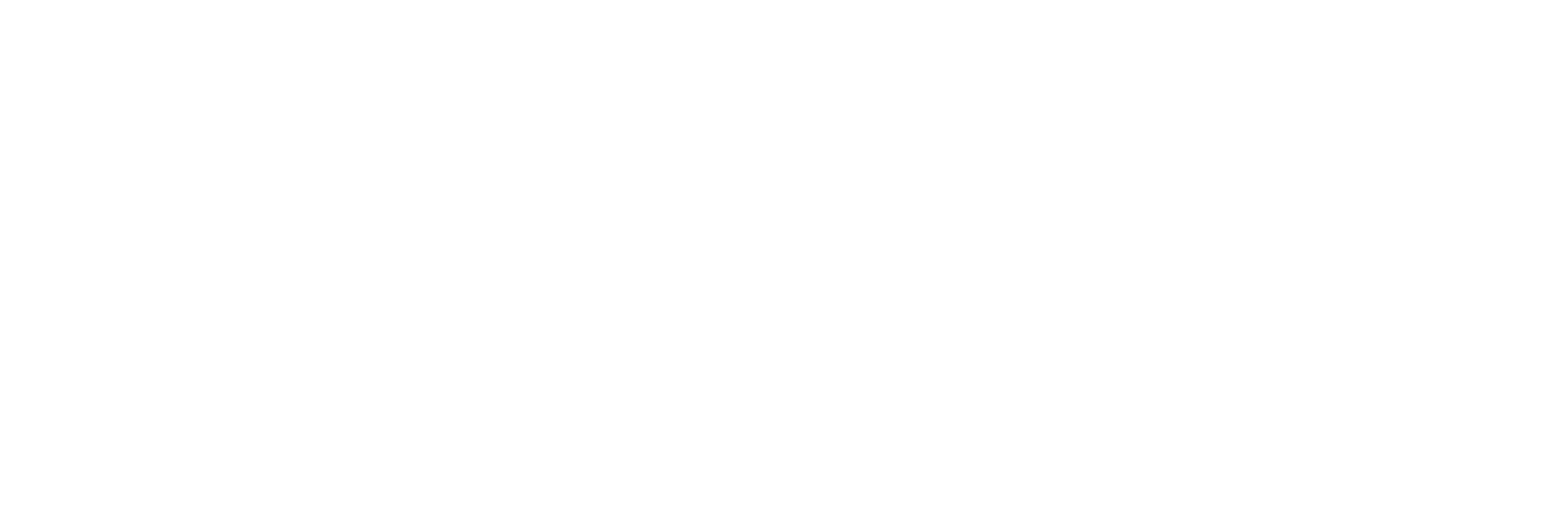 logotipo da vizcom